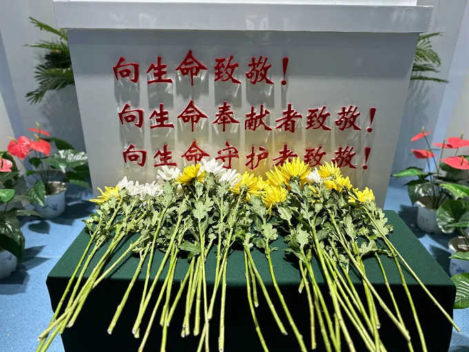 图片 14.png 图片 14.png